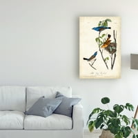 Zaštitni znak likovne umjetnosti 'plava pjesma Grosbeak' Canvas Art by John James Audubon