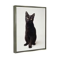 Slatka crna mačka s izražajnim očima, portret kućnog ljubimca, sjajno sivo platno uokvireno zidnom umjetnošću,