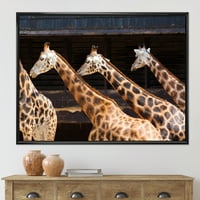 DesignArt 'Portret tri žirafe koje trči' Farmhouse uokvirena platna zidna umjetnička tiska
