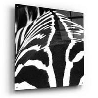 Epska umjetnost 'zebra v' Debra van Swearingen, akrilna staklena zidna umjetnost, 36 x36