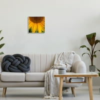 _ Kapljice vode suncokret priroda botanička i cvjetna fotografija umjetnički tisak u sivom okviru zidna umjetnost