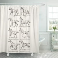 1800S Vintage konjski hod konji konji kanter galop kupatila dekor kupatila za tuširanje