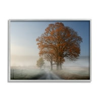 Studell Foggy Road Sycamore Tree Pejzaž fotografija siva uokvirena umjetnička print zidna umjetnost