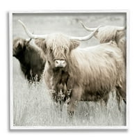 Stupell Industries Highland Stock Country Meadow Fotografija bijela uokvirena umjetnička print zidna umjetnost,