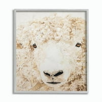 Stupell Industries Sheep Portret Farm Slikati životinjski slikar uokvirenu zidnu umjetnost Diana Fifer