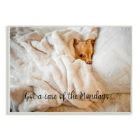 Primjer u ponedjeljak s citatom za pseći san i humor za kućne ljubimce dizajn zidne ploče od u ponedjeljak