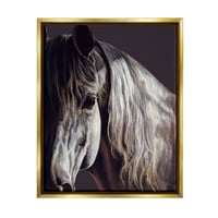 Stupell Industries izbliza portret konjskog lica Životinje i insekti Fotografija Zlatni plutač uokviren umjetnički