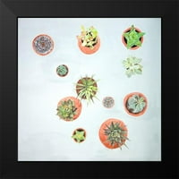 Umjetnički studio u Crnom modernom okviru za muzej pod nazivom biljke Kaktusa