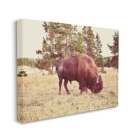 Stupell Divlji bizon ruralni prirodni pejzaži životinje i insekti Fotogalerija zidna umjetnost s printom na platnu