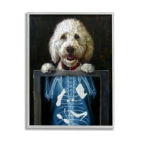 Smiješno pas rendgenski snack životinje i kukci slikarstvo u sivom okviru umjetnički tisak na zidu