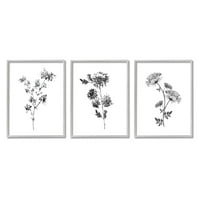 Stupell Desirtys Minimalni cvjetovi i akvarel s divljim cvjetovima crno bijeli cvjetovi, 14, Dizajn Conrada Knutsena