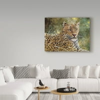 Zaštitni znak likovne umjetnosti 'portret leoparda' platno umjetnost Jeffa Tifta