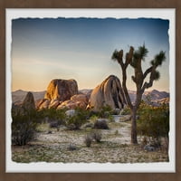 Zidna umjetnost uokvirena autohtonim drvećem Marmont Hill Mojave