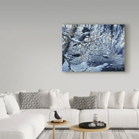 Zaštitni znak likovne umjetnosti 'ledena refleksija' platno umjetnost Jeffa Tifta