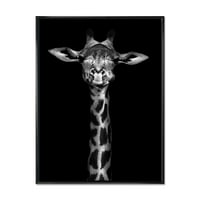 Portret žirafe u jednobojnom uokvirenom fotografiji platno umjetnički tisak
