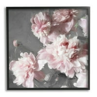 Ružičasti karanfili cvjetaju botaničku i cvjetnu grafičku umjetnost crno uokvireni umjetnički print zidni umjetnost