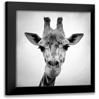 Fotografski studio u MIB-U predstavlja modernu muzejsku umjetničku gravuru u crnom okviru pod nazivom žirafa