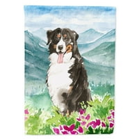 _2547 _ planinsko cvijeće Bernski Planinski Pas Zastava Vrtna veličina mala, višebojna