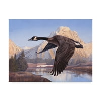 Zaštitni znak likovna umjetnost 'Goose Mountain' platno umjetnost Rusty Frentner