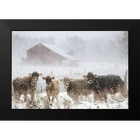 Deiter, Lori Black Modern Framed Museum Art Print pod naslovom - Hladne krave na farmi
