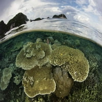 Prekrasan koralni greben uspijeva među tropskim otocima Raja Ampat, Indonezija. Tisak plakata Ethan Daniels