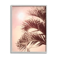 Palme obasjane suncem, ružičasto nebo, botaničke i cvjetne fotografije, umjetnički ispis na zidovima u sivom okviru