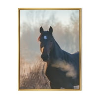DesignArt 'Izbliza portret konja na jesensko jutro' Farmhouse uokvirena platna zidna umjetnička tiska