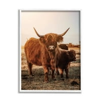 Stupell Industries Longhorn Highland goveda krava Topla Zora jutarnja fotografija u bijelom okviru umjetnički