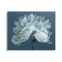 Stupell Industries suvremeni bijeli cvjetanje jednostruka grafička umjetna galerija cvijeća zamotana platna zidna