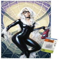 Comics Comics - Black Cat - Amazing Spider-Man Naslovnica drveni magnetski uokvireni zidni poster, 22.375 34