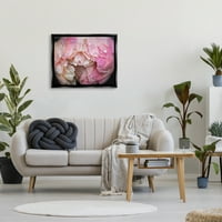 Stupell Industries Pink božur Budding Vode kapljica Botanička i cvjetna fotografija Crni plutasti uokvireni umjetnički