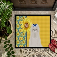 Ljetni suncokret Malteški tepih za dom ili na otvorenom