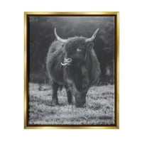 Studell jednobojni gornji krava fotografija životinje i insekti fotografija zlatni plutač uokviren umjetnički