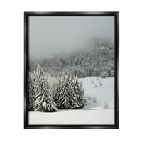 Stupell Industries Winter Snowscape Woodland drveće Pejzaž fotografija Crni plutač uokviren umjetnički print zid