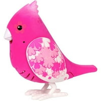 Little Live Pets S Bird Single Pack, Pink Latica