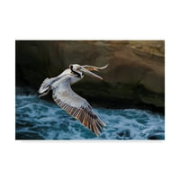 Likovna umjetnost s potpisom let pelikana na platnu Chrisa Moiera