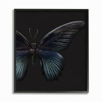 Apstraktna krila leptira br. fotografija životinje na zidu uokvirena od br.