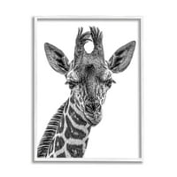 _ Žirafa koja razmišlja o divljini portretna fotografija u bijelom okviru umjetnički ispis na zidu, dizajn Kellie
