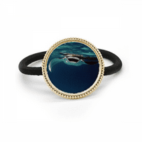 Ocean Ray Skate Science Nature Slika srebrna metalna kravata za kosu i gumenu traku za glavu