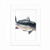 Aktivnost oceanske ribe hrana stolni fotookvir za prikaz slika umjetničko slikanje