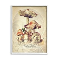 Vintage detaljna priroda gljiva, botaničko i Cvjetno Slikarstvo, bijeli uokvireni umjetnički tisak, zidna umjetnost