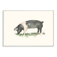 Stupell Industries Farm svinja ispaša u poljskom dizajnu akvarela svinja Ethan Harper