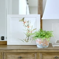 Moja Texas House Earthtone biljke III cvjetne bijele uokvirene umjetničke ispis 16 20