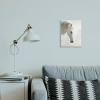 Portret bijelog pastuha u minimalističkom jugozapadnom stilu Kari Brooks