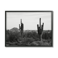 Stupell Industries pustinj kaktus sušna vegetacija jednobojna priroda fotografija fotografija crno uokvirena umjetnička