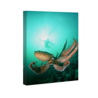 Wynwood Studio Nautical and Coastal Wall Art Canvas Otisci 'Giant Pacific Hobocopus, David Fleetham' Marine Life