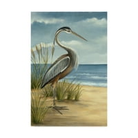 Zaštitni znak likovna umjetnost 'obala ptica i' platno umjetnost ethana harper