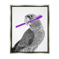 Stupell Industries Parrot s četkicom za zube smiješne ptičje životinje i insekti slikaju sivi plutasti uokvireni