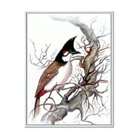 Drevna lijepa ptica na grani uokvirena slikanje platna umjetnički tisak
