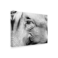 Zaštitni znak likovna umjetnost 'Elephants Eye' platno umjetnost američke škole